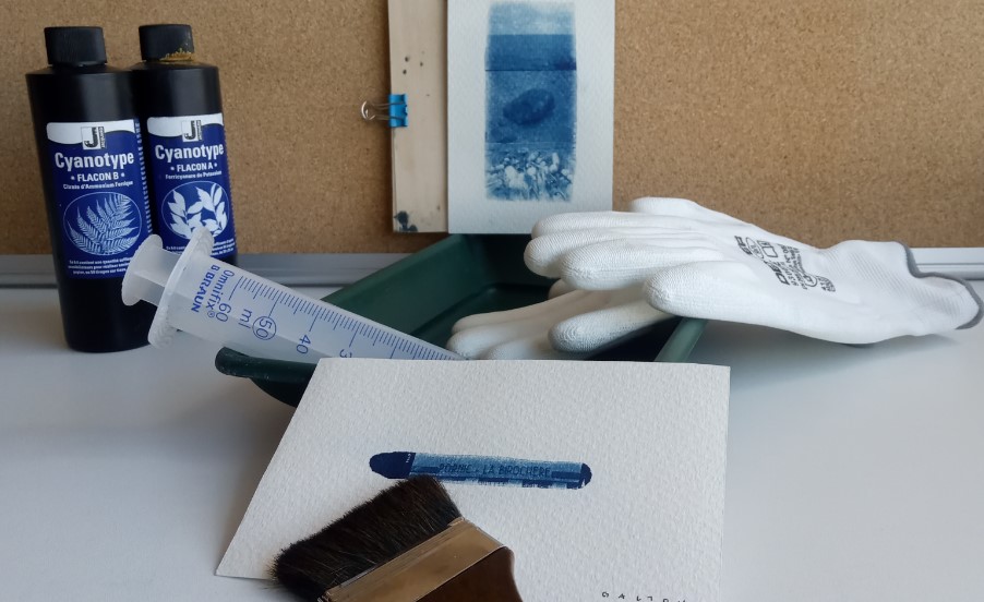 cyanotype
